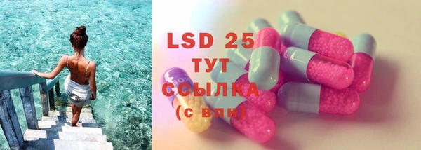 сатива Балахна