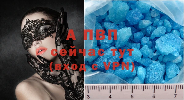 сатива Балахна