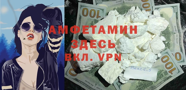 сатива Балахна