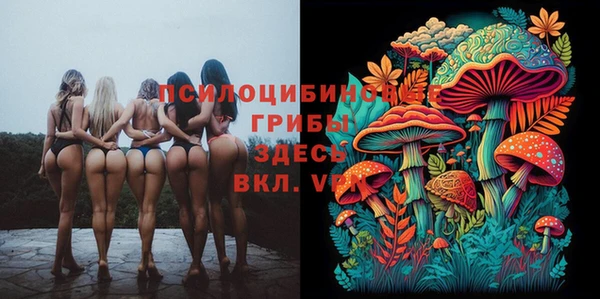 Альфа ПВП Балабаново