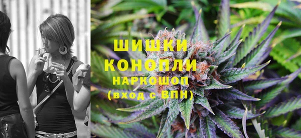 сатива Балахна