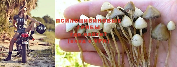 2c-b Баксан