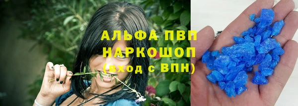 сатива Балахна