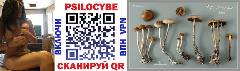 цены наркотик площадка как зайти Псилоцибиновые грибы прущие грибы Урус-Мартан